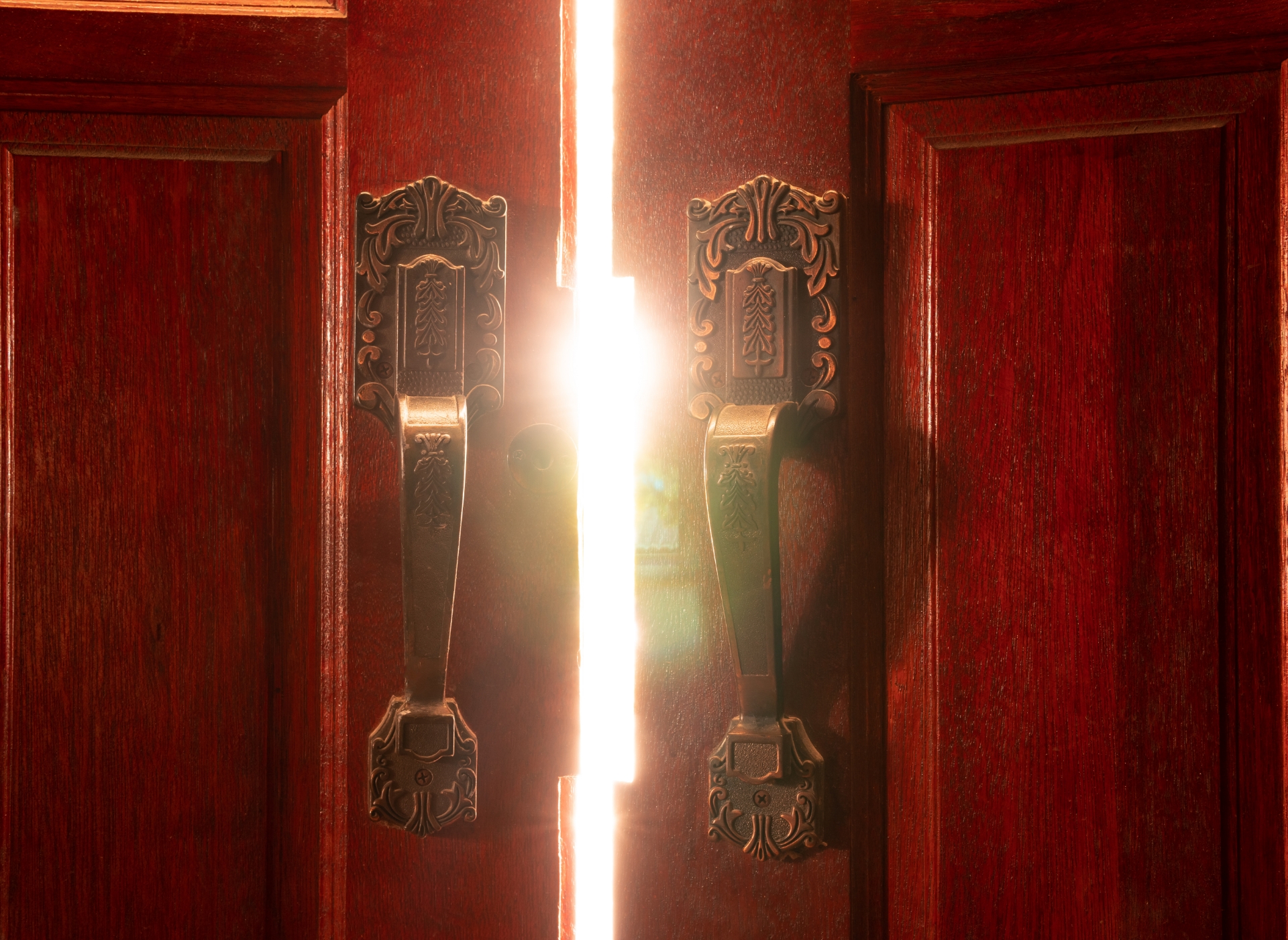 わたしたちについて